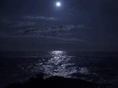 [크로이 미츠하/1반/XX]