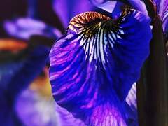 온유현 / 생명물리공학부