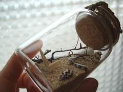 여름, 계절의 아이 上