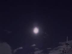 애매하지 말았어야지