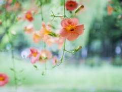 어느 여름밤에 시작된 이야기