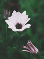 [ 하이큐 드림 ] 단편 모음