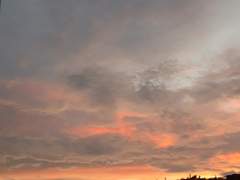 어느 정돈 속고 살아도 괜찮습니다.