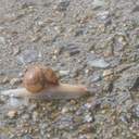 뭘 보시는거죠?