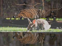 당신이 뒤집어쓴 가죽의 이름을.