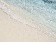 백색 모래, 조개와 바다