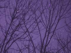 후회할 걸 알면서 온 곳