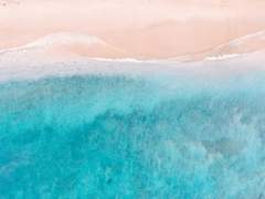 태양을 피하고 싶어서