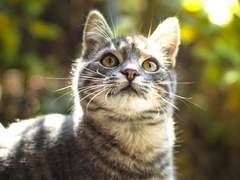 그림 연습이다 뿅