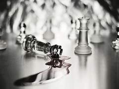 Letheus Ridere Cantemir