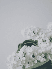 Lasciate ogni speranza, voi ch'entrate.