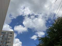 여름, 이제는 즐길 수 없게 된 계절