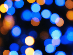 [캐롤+옐레나] 1995년