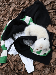 쌍즐리드레모음