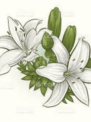 사랑하는 사람과 내가 모두 여자일 때 생기는 일