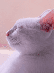 옵치덕질을 덕질덕질