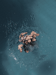 [전정국김태형김석진] 잠수이별한 전남친이 임신한 새 여친과 나타났다(完)