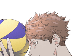 오이카와 생일그림