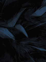 히로아카-세상을 멸하겠다.(피폐데쿠,치유개성,데쿠른,제3세력 다수 출현)