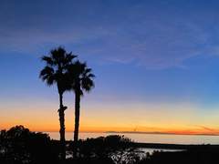 [조슈바네] 바닷가의 밤