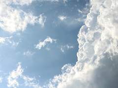 [국민] 담장 너머의 정원 12