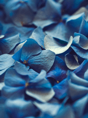 연극이 끝나고 난 뒤