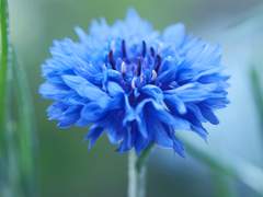 우청커 커플게임