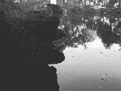 어딘가의 뒷골목 이야기