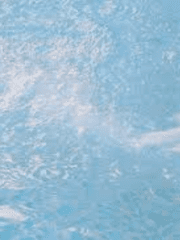 극작가 썸머 씨의 일일