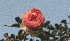 𝓘𝓽’𝓼 𝓪𝓵𝔀𝓪𝔂𝓼 𝓪 𝓭𝓲𝓯𝓯𝓲𝓬𝓾𝓵𝓽 𝔀𝓸𝓻𝓵𝓭 𝓯𝓸𝓻 𝓶𝓮.