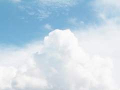 커튼 뒤의 세계