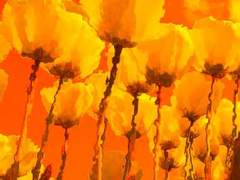 [죠나디오] to be find yellow tulips ~12~