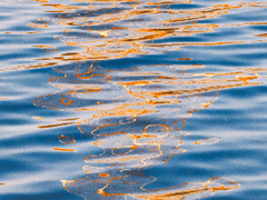 연애의 완벽한 끝