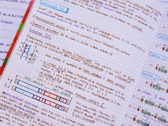 구독자 100명 기념 Q&A