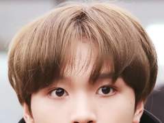 뽀둥뽀둥 초코 푸들