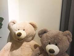 ❥유니콘 구합니다