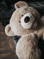 좋아하는 글모음