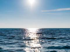 살갗에 닿은 푸른 물결이 시원하니까.