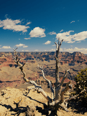 [구다코른] 후지마루 리츠카의 칼데아
