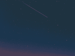 루드베키아; 행복의 정의.