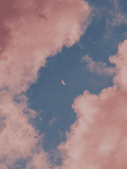 반짝이는 꿈을 붙잡으며