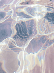 절망 속에서 희망을 붙잡으며