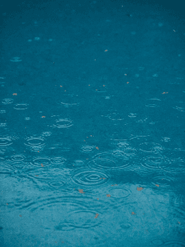 우산 씌워주는 남자