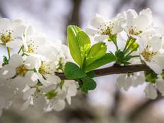 제 능력은 소리만 낸다고 되는 것이 아닌지라.