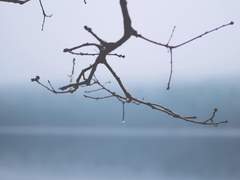 [희신강징] 知音 1