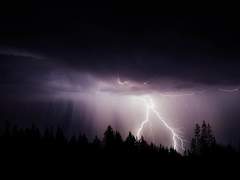 그들이 벗어나고자 했던 어느 하루