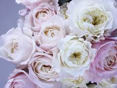 [엘아샤]그 꽃집 이야기