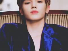 대충 해적 역하렘물