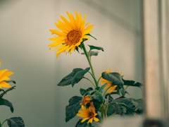 [엘아샤]행복을 너에게