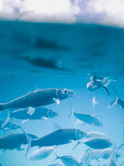 가장 날것의 연애